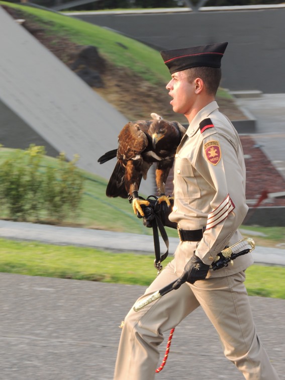 El famoso "Aguilucho" mascota del Heroico Colegio Militar