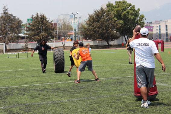 Los Leones de la UMAN contarán ya con semilleros