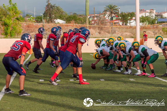 Lobos Marinos busca nuevamente estar en playoffs