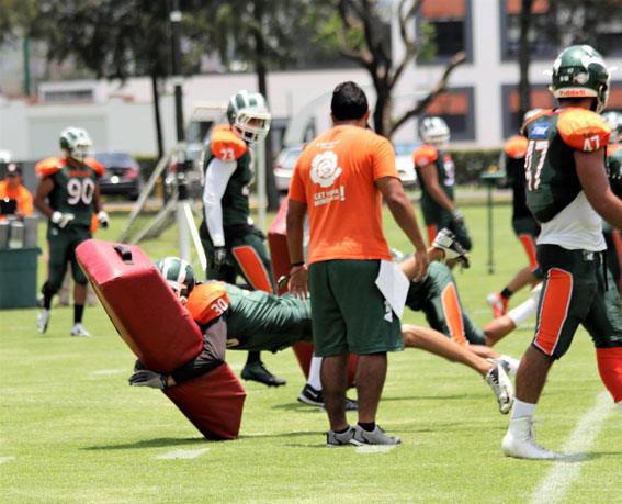 Aztecas no cesa en su preparación