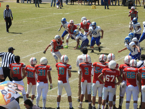 Mandriles Stratford vs. Borregos Toluca