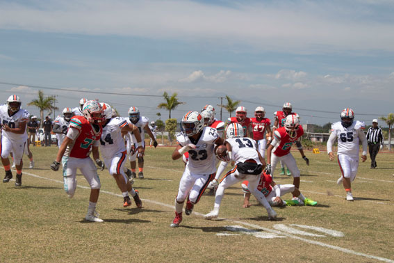 Mandriles Stratford vs. Halcones Inter