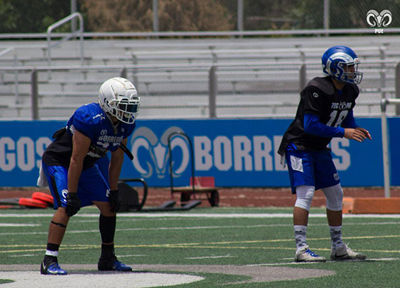 Borregos Puebla sigue con sus entrenamientos