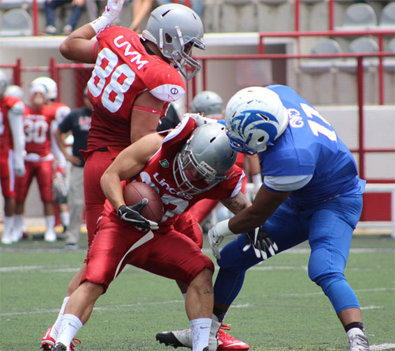 Borregos Guadalajara recibirá a los Linces UVM