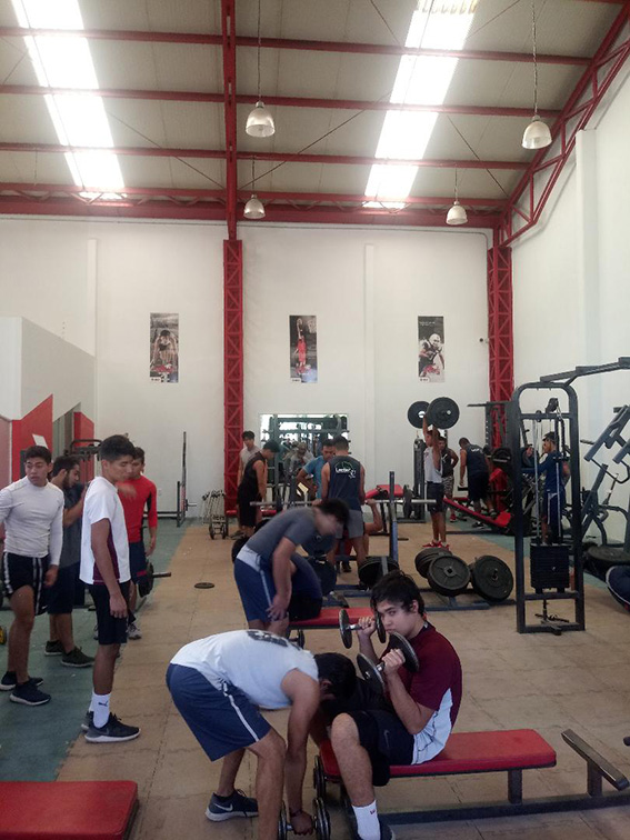 Tigres Blancos intensifican la preparación en el gimnasio