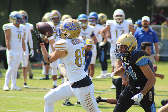 Tigres y Guerreros sostendrán un gran scrimmage