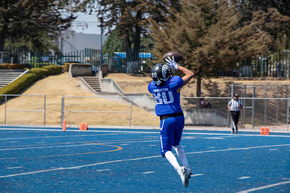 Borregos Toluca vs. Mandriles Stratford