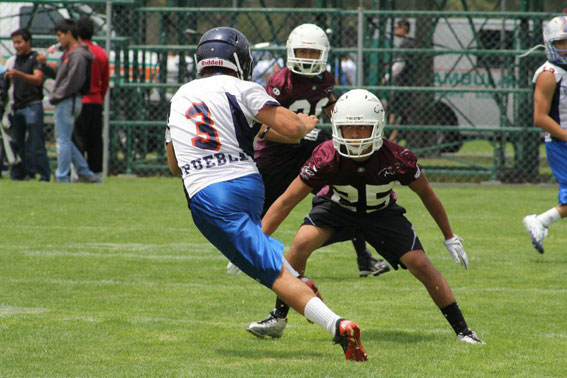 Burros Blancos en el Torneo 7 vs 7