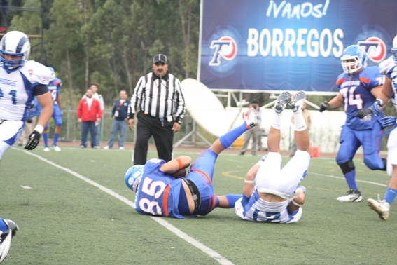 Borregos Puebla busca dar la campanada