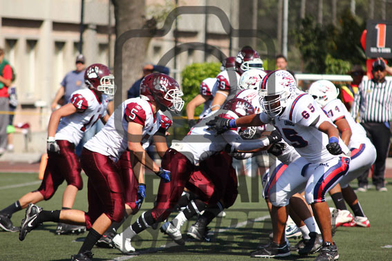 Osos Peleadores ASF vs. Tigres Blancos UMAD