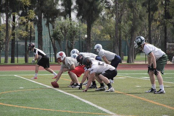 Primera Práctica Selección Barras y Estrellas