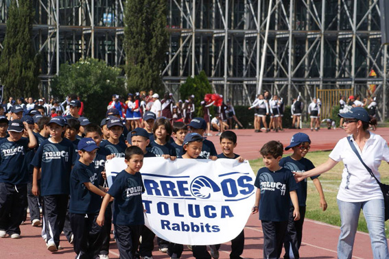 Borregos Toluca en plan grande